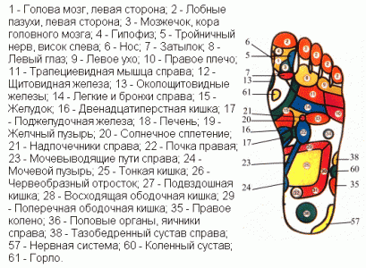 Правильный уход за ногами. Модный педикюр 2013