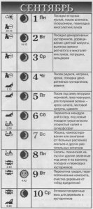 Лунный посадочный календарь 2014 на сентябрь