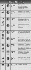 Лунный посадочный календарь 2014 года на октябрь