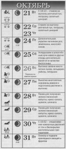 Лунный посадочный календарь 2014 года на октябрь